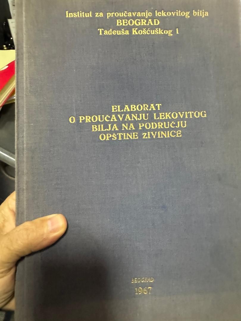 Elaborat o bilju 1967